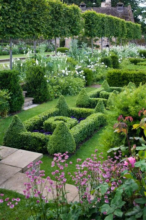 Parterre Flower ideas
