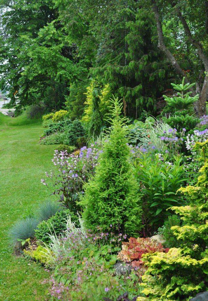 evergreen flower beds for all year round flowers