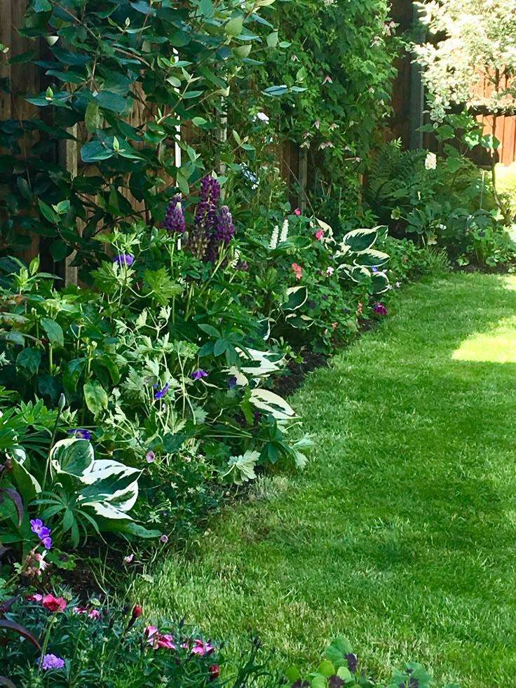 north facing flower bed ideas