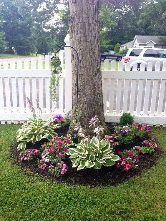 flower bed underneath a tree