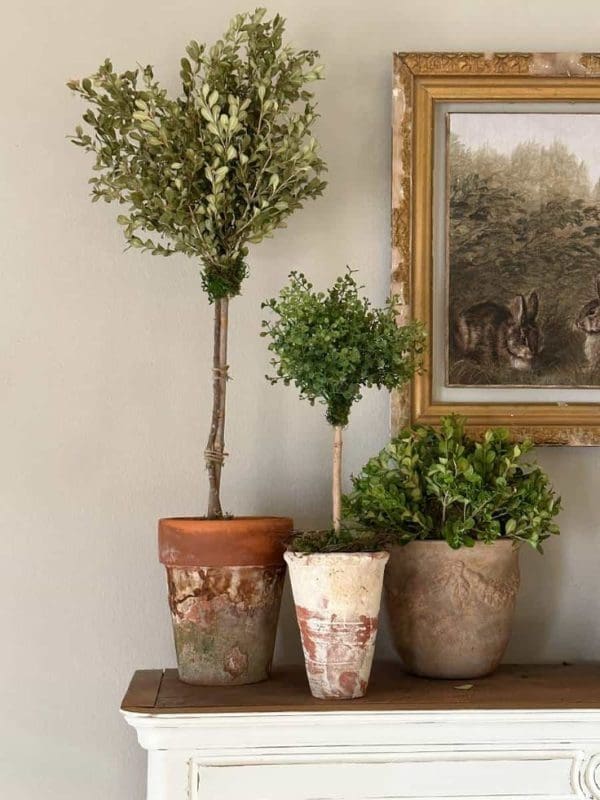 rustic pots Dollar Tree Farmhouse DIY Ideas