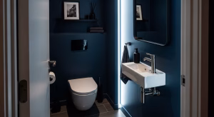 small toilet