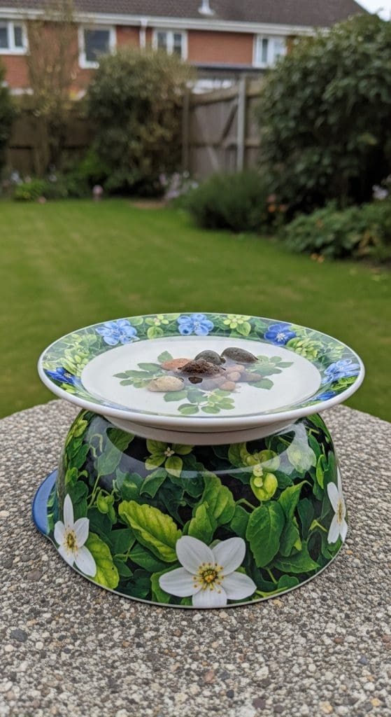 salad bowl Bird Bath