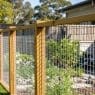 Cheap Privacy Fence Ideas