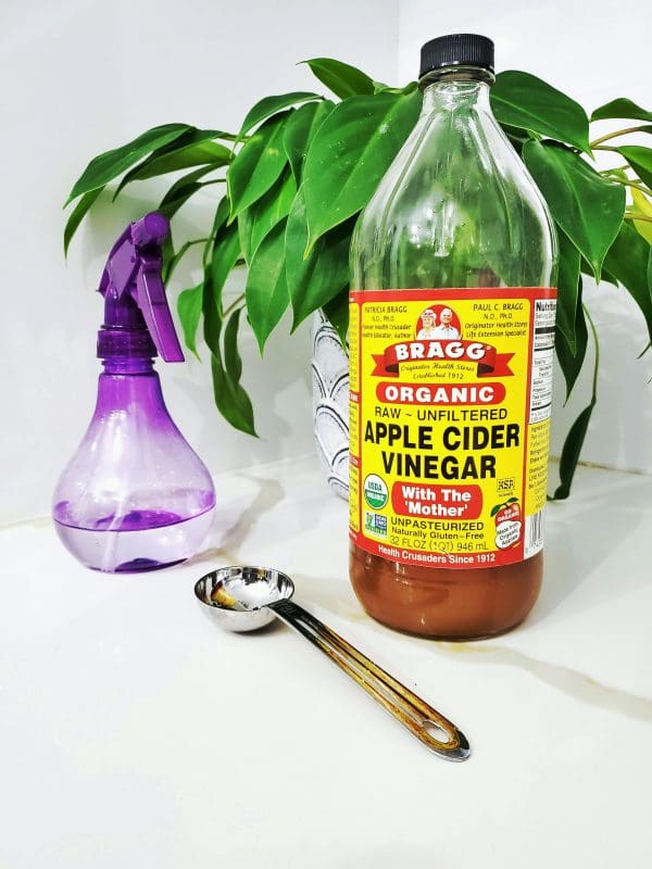 Mosquito Repellent Ideas apple cider vinger