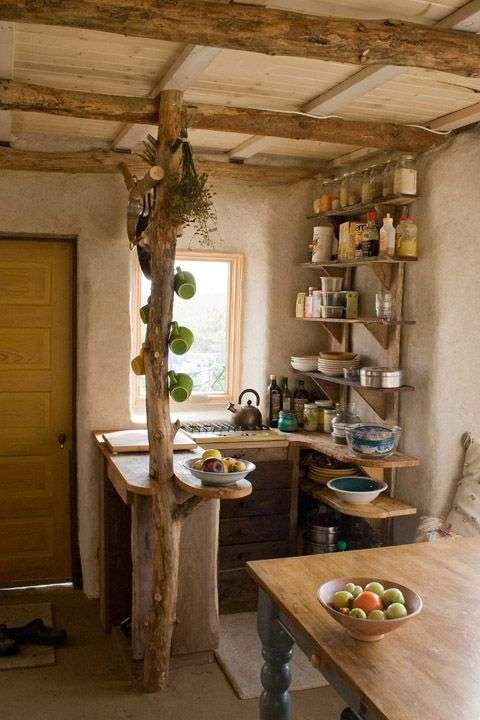 tree in earthy kitchen