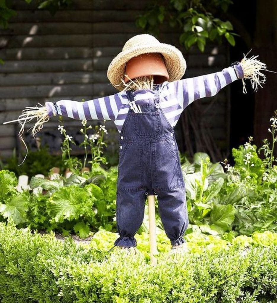 scarecrow in a vegetable patch with a clay pot for a head
