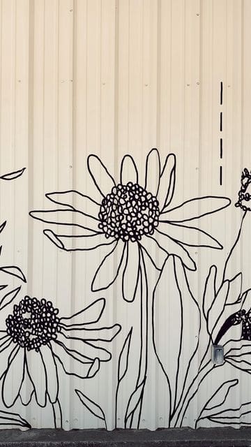monochrome simple floral outline on the side of a shed