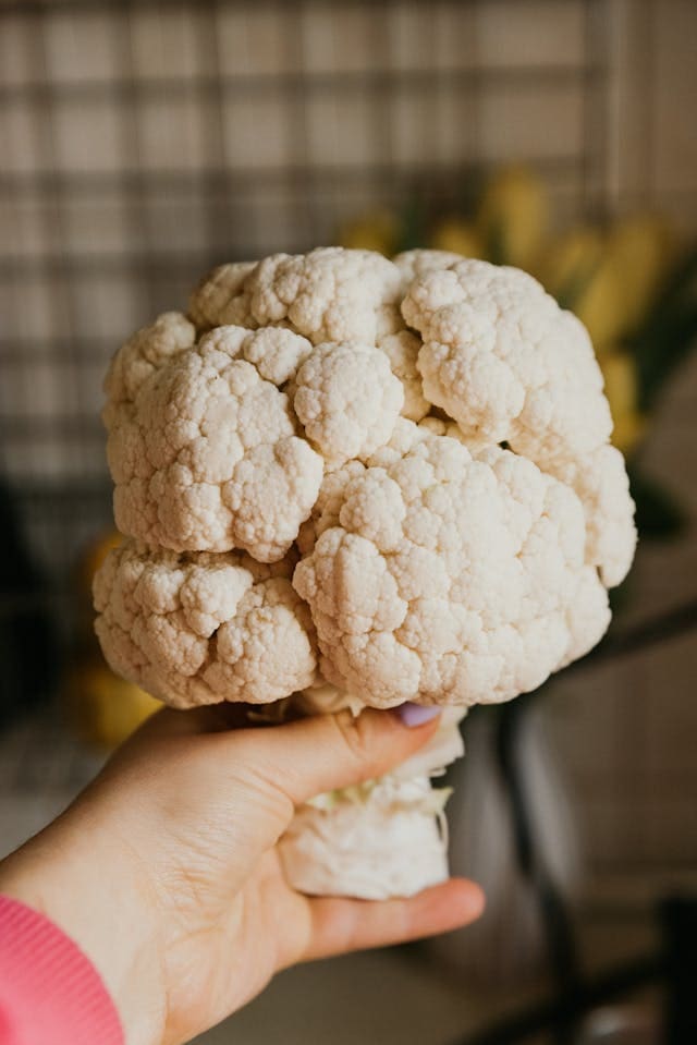 Cauliflower to plant