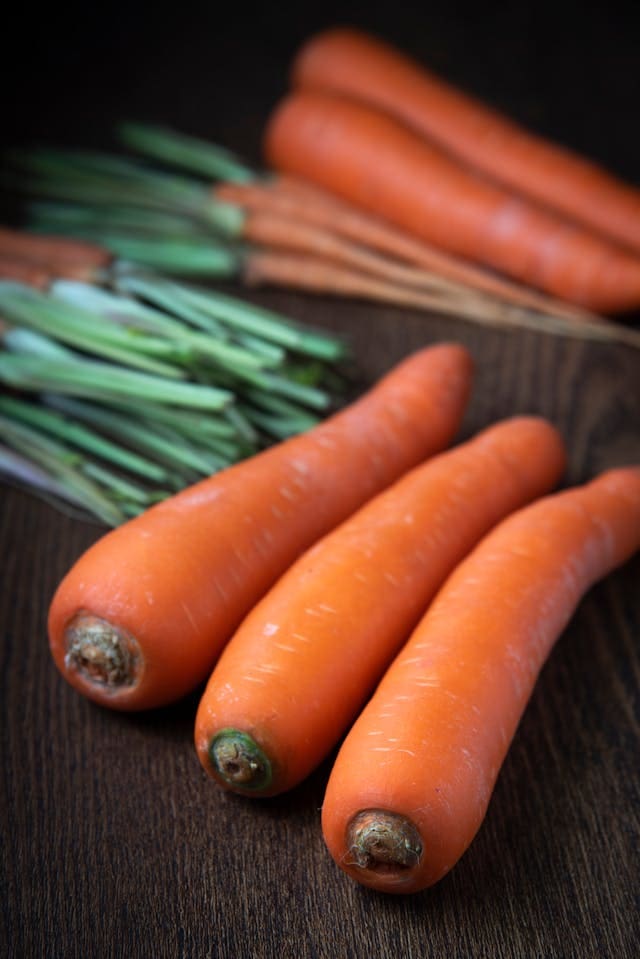 carrots to grow in september