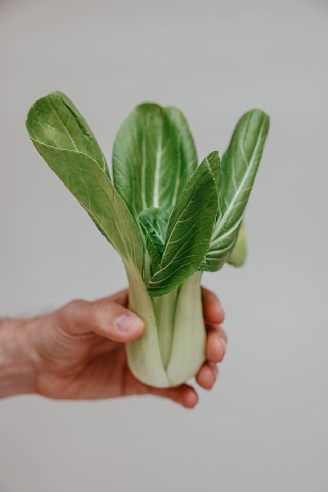 bok choy ready to be eaten