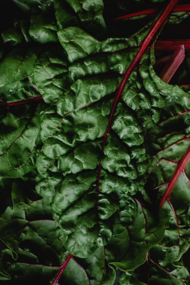 close up of swiss chard
