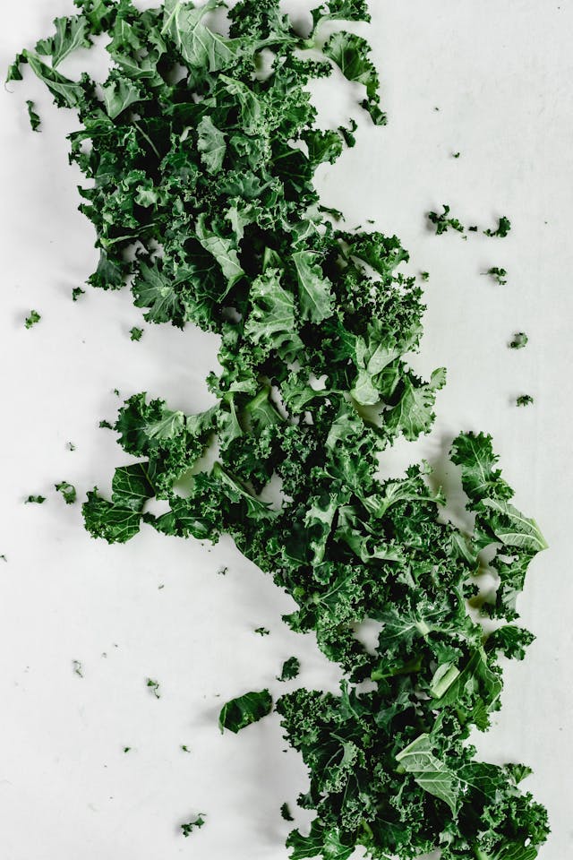 kale fall Veggies to Plant in September