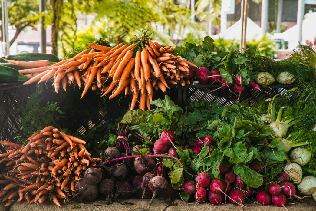 Veggies to Plant in September