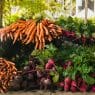 Veggies to Plant in September