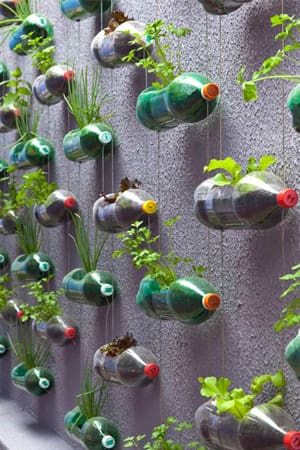 plastic bottles hanging vertically from a wall with plants inside