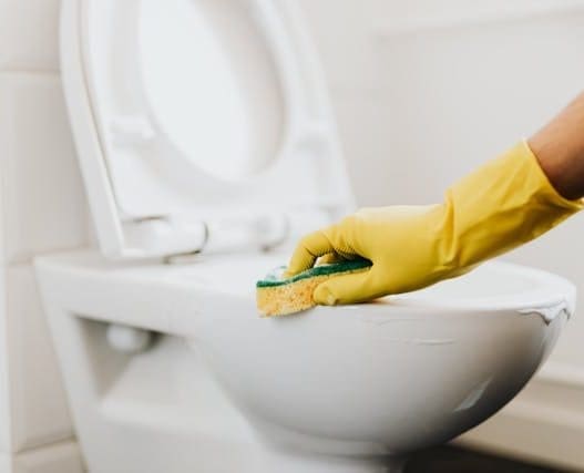 DIY toilet cleaner