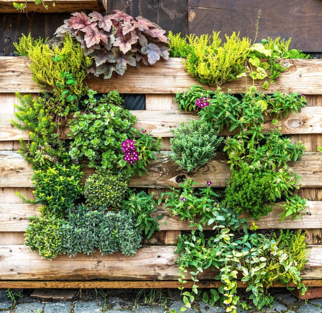 wooden pallets being used as a DIY planter