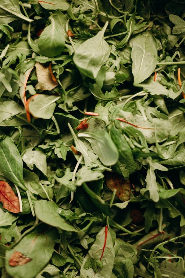 close up of spinach
