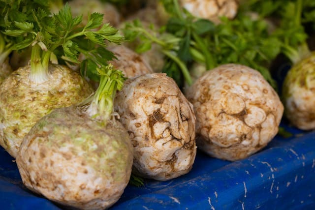 celery root a winter vegetable that has been harvested