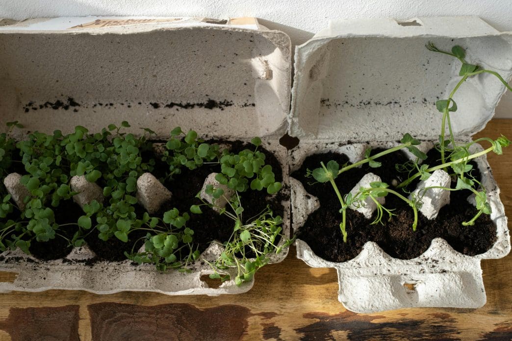 diy planter ideas