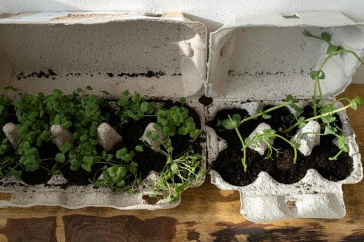 diy planter ideas