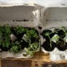 diy planter ideas