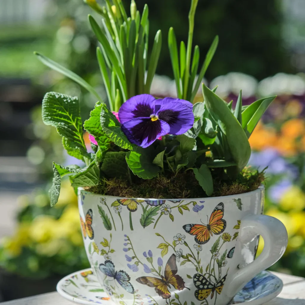 teacup with butterflies on being used as a DIY planter