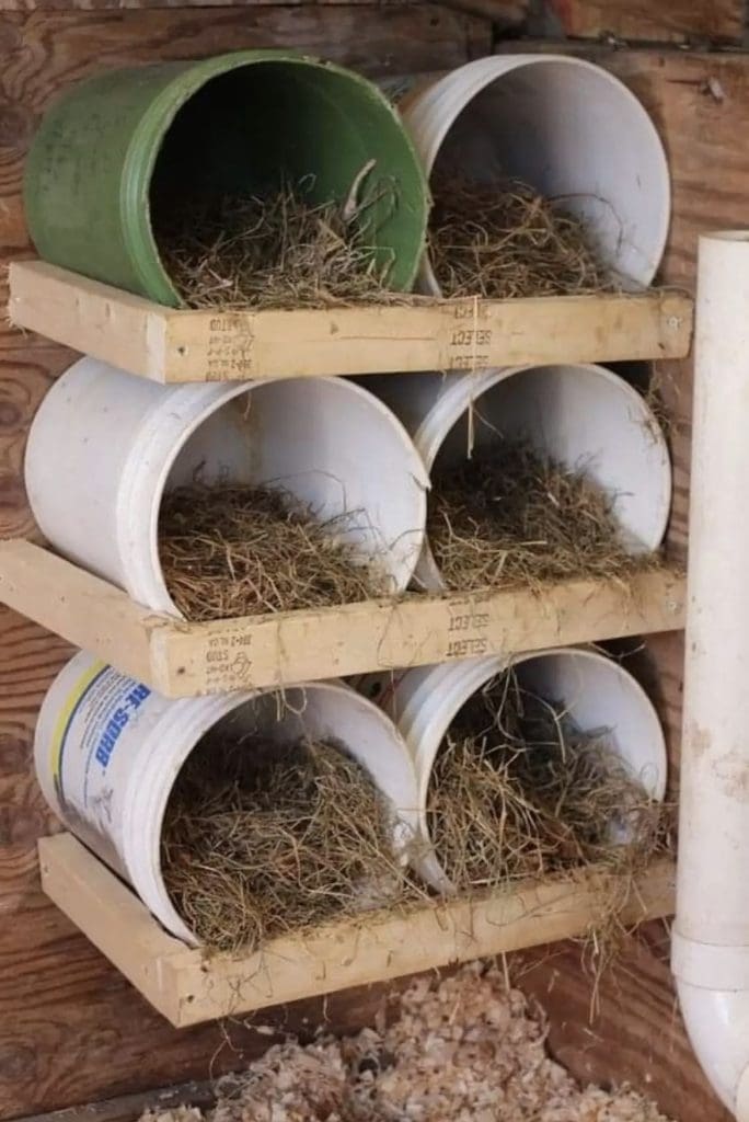 chicken nest made from 5 gallon buckets with straw