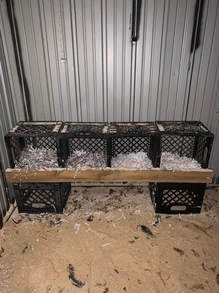 Chicken nesting box made from old milk crates
