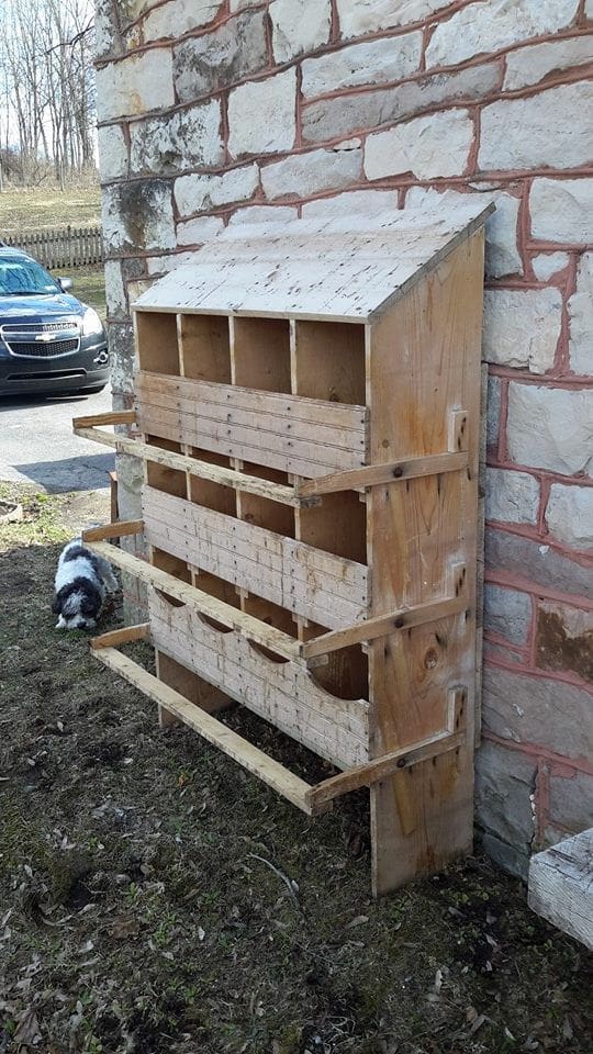 Ladder style chicken nesting box with tiered nesting boxes for chicken