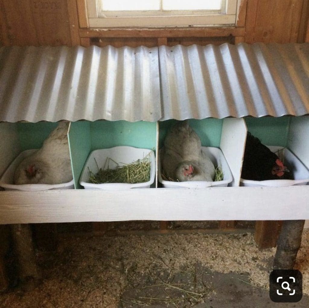Chicken nesting boxes made from old wash basins inside a chicken coop
