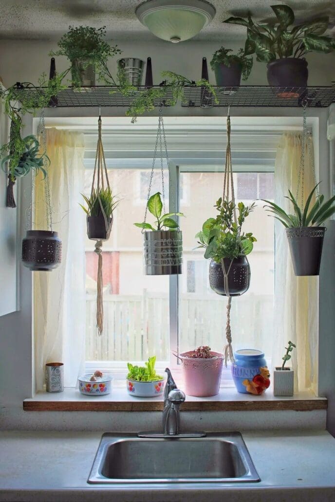 Gallery image with a fresh perspective