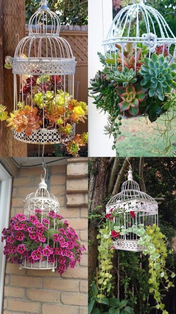 old birdcages repurposed as planters with flowers inside