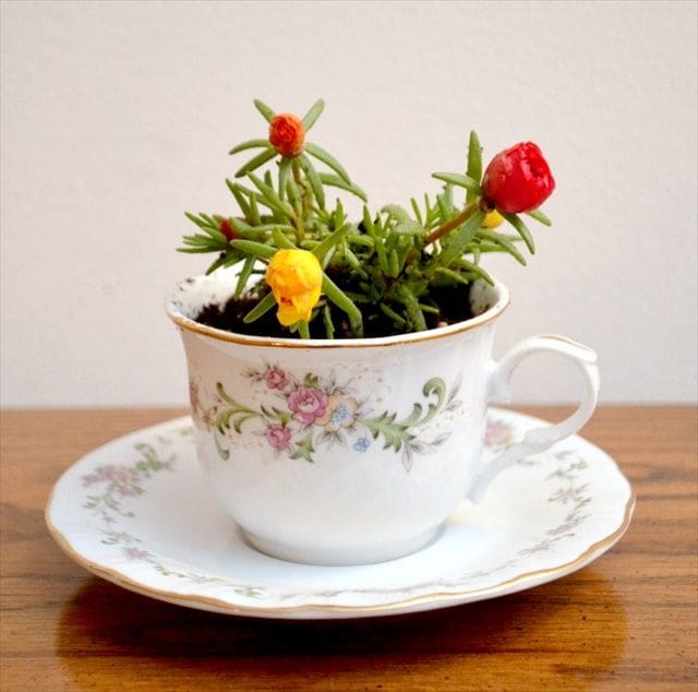 teacup with flowers