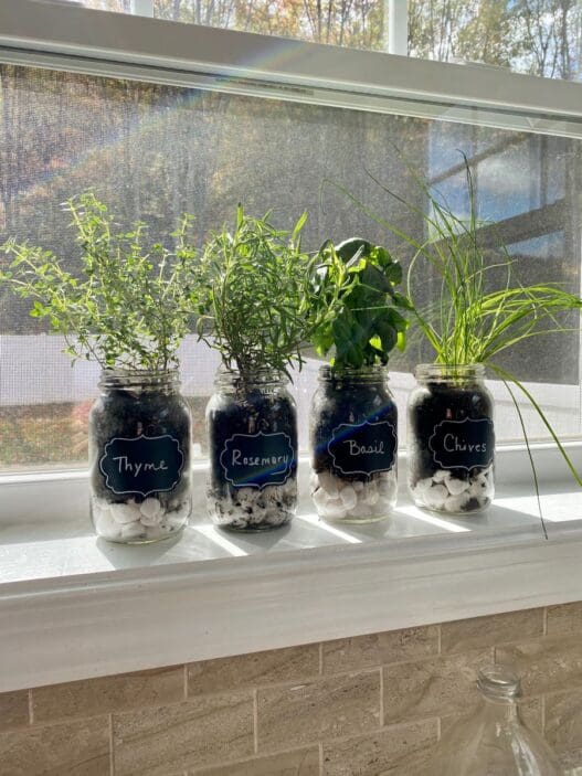 Photo inspiration: Curated Textured Planters For Small Kitchen Apartment Decor Gallery View 39