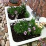 repurposed kitchen sink planter