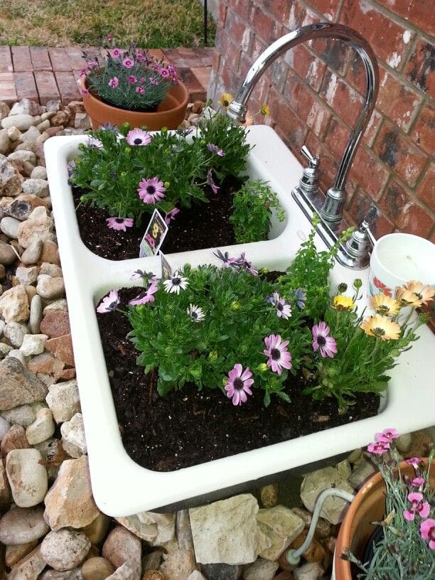 repurposed kitchen sink planter