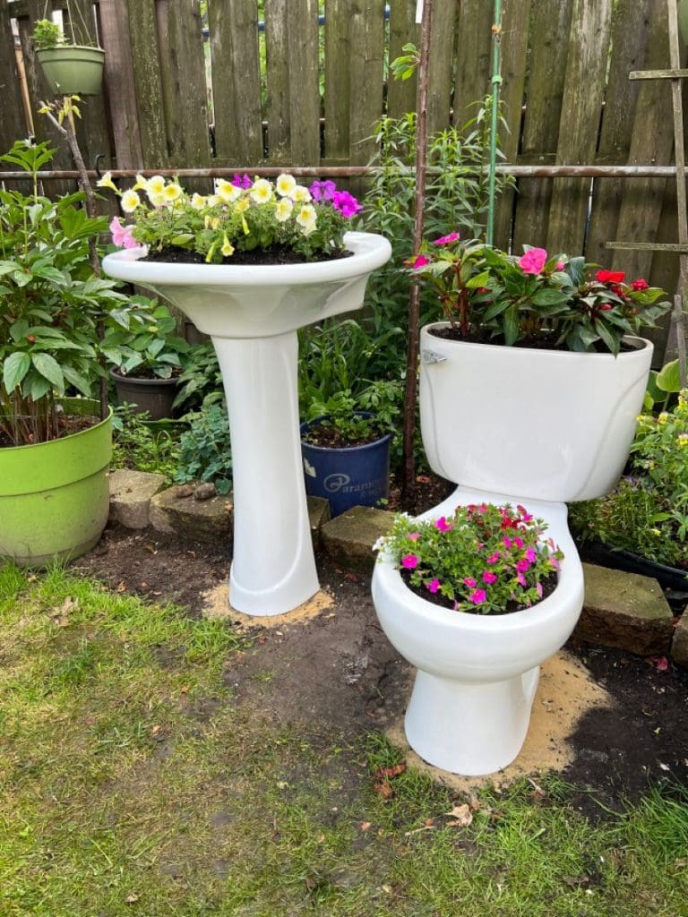 white toilet and sink used as planters for flowers