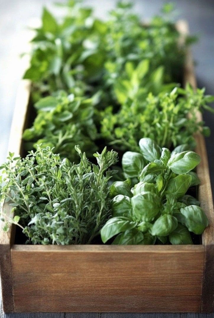Photo inspiration: Gallery Detail: 16 Herb Planter Ideas For Small Kitchens Apartments