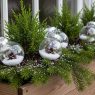 Winter Planter Box ideas