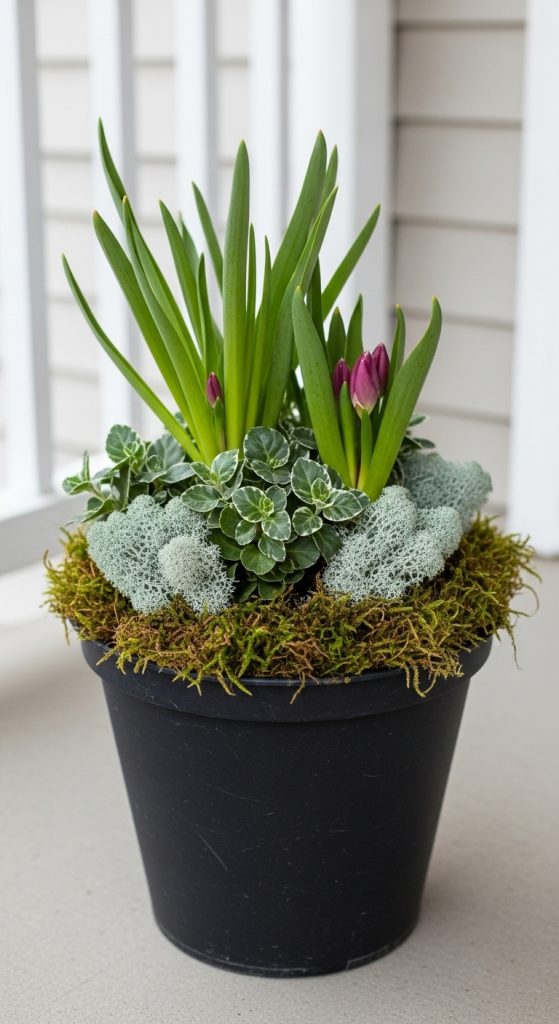 black planter with spring flowers and moss