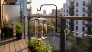bird feeding station