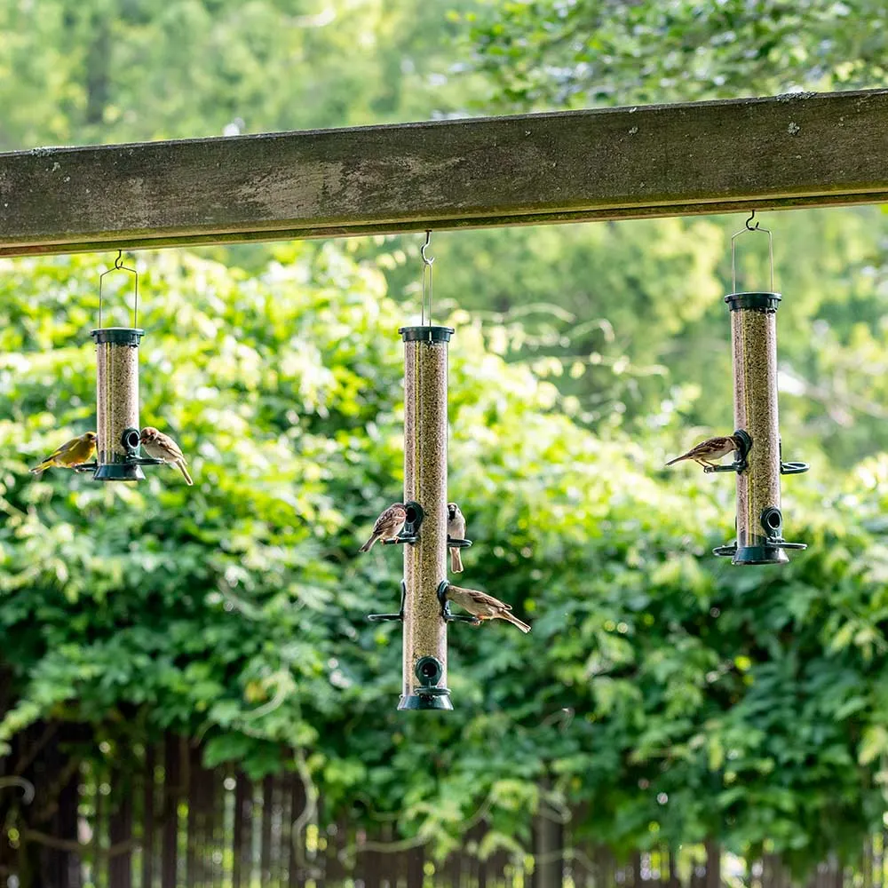 long vertical hanging bird feeders