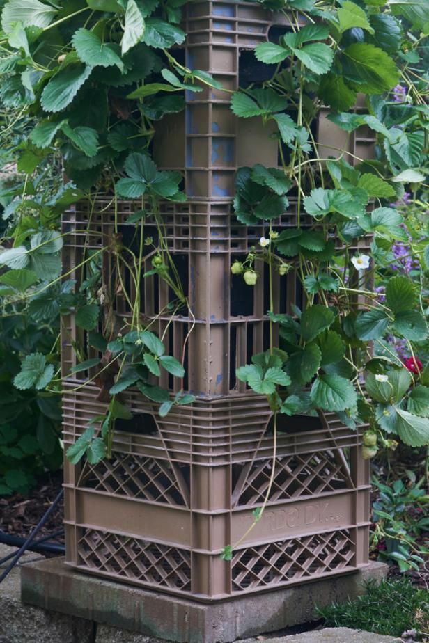 Milk crates stacked and used as a planter