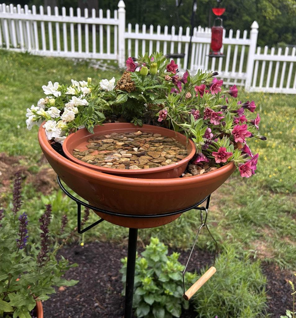 bird feeder on top of plant stand in garden