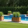 Poolside Planter ideas