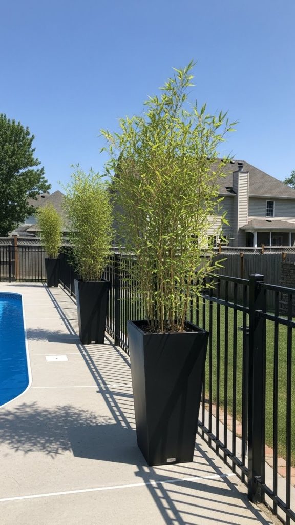 tall Poolside Planter with bamboo next to pool
