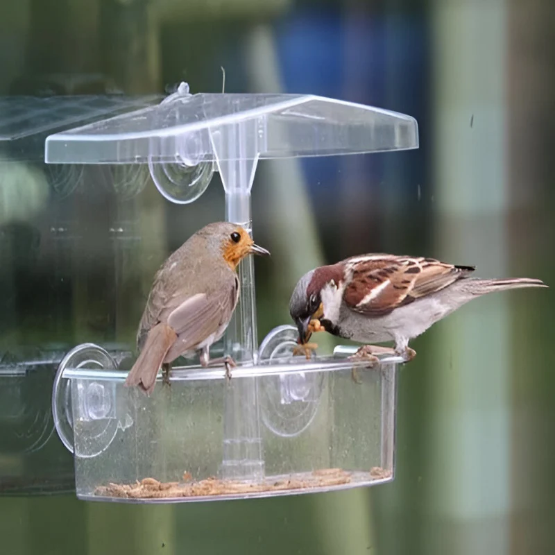 suction cup bird feeder for window bird feeding station