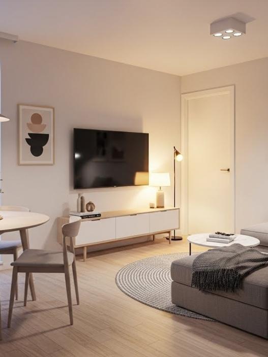 Small Living Room Dining Room Combo